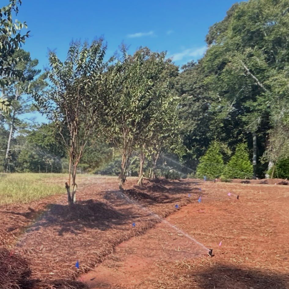 Landscape irrigation and sprinkler system installation